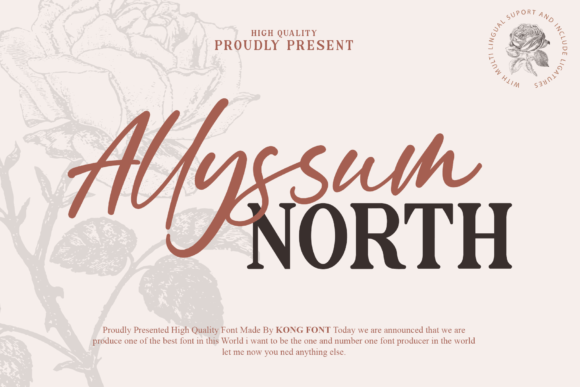 Allyssum North: A Modern, Playful Handwritten Script Font
