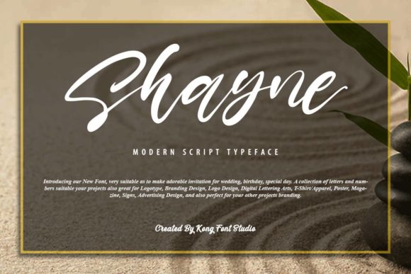 Discover the Playful Charm of the Shayne Font
